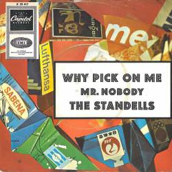 The Standells : Why Pick On Me